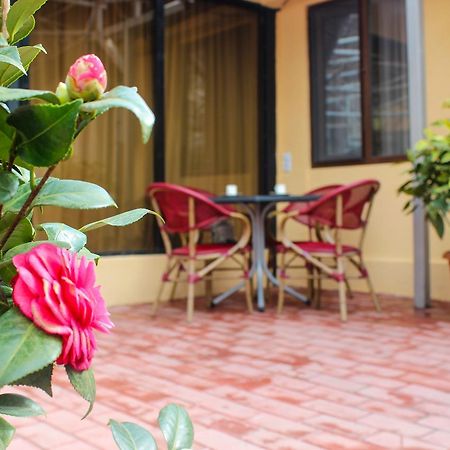 Lasha Apartment Tiflis Dış mekan fotoğraf